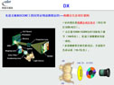 ýw DLPƴ DigiVision-DX60D(DLPԪ),CIST DLPƴ DigiVision-DX60D(DLPԪ) DigiVision-DX60D(DLPԪ)-----cŴ