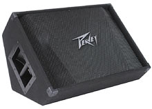 Peavey():PV 15M Floor Monitor